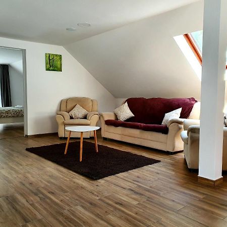 Twins Apartments Sovata Zewnętrze zdjęcie
